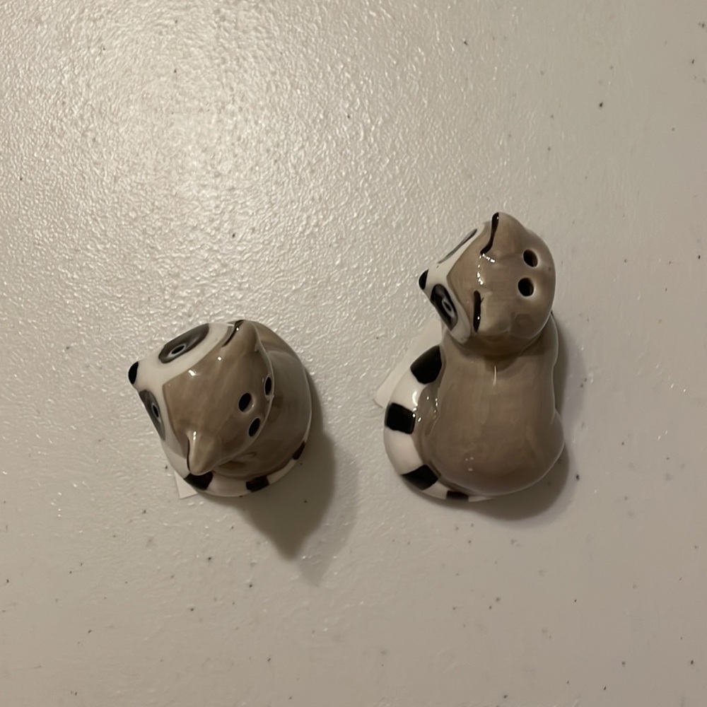 Mini Salt & Pepper Shakers Raccoon - Picture 10 of 12
